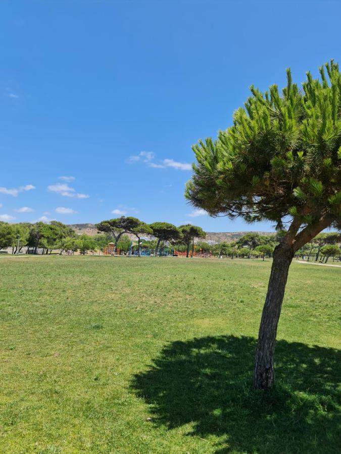 Front Beach Costa Caparica Lisbon Коста да Капарика Екстериор снимка